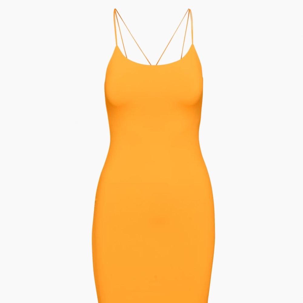 Babaton Lautner contour dress